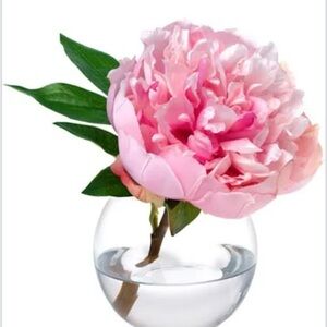 Pink Peony in Bubble Glass Vase